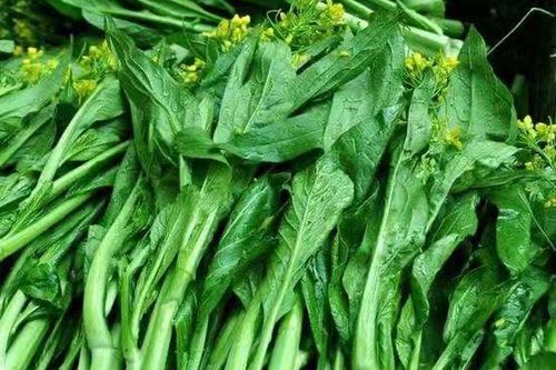 东莞蔬菜配送告诉你蔬菜过冬储存方法有哪些