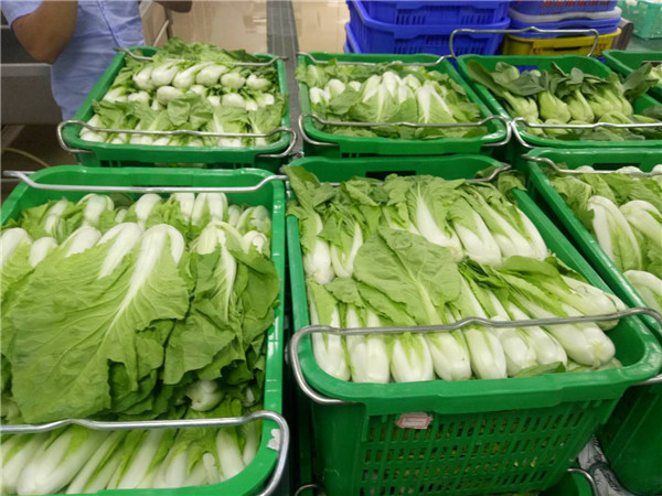 东莞农产品配送分享学校生鲜蔬菜配送要求