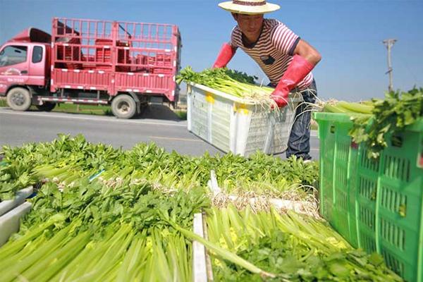 东莞农产品配送带你了解冷链配送与热链配送有什么区别