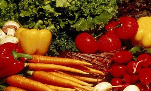 东莞送菜公司要有哪些证件