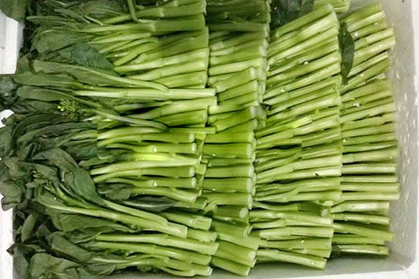 东莞蔬菜配送讲解如何做好学校蔬菜配送工作