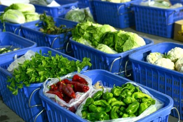 如何打造高标准的食材配送体系