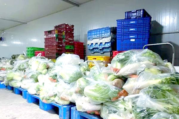 蔬菜配送的意义及发展